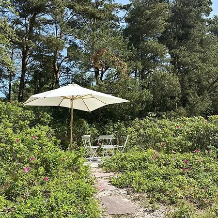 Amazing In Aakirkeby With Wifi Vester Somarken